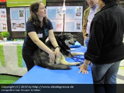 Animal Relaix Physiotherpie