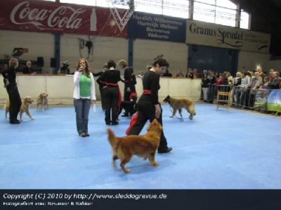 Retriever Förder Verein Aachen