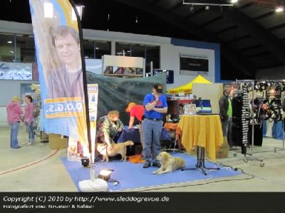 D.O.g.S Hundschule