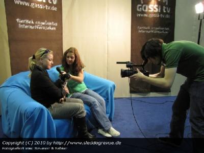 unser Medienpartner GASSI-TV