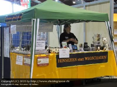 Hinsehen statt wegschauen