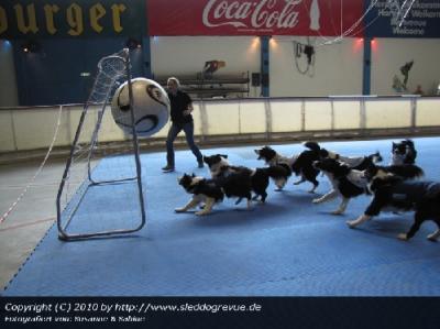 Hundefu�ball