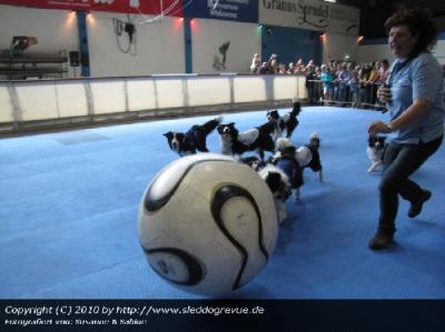 Hundefußball 2
