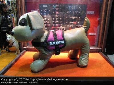 ein sch�ner Hund