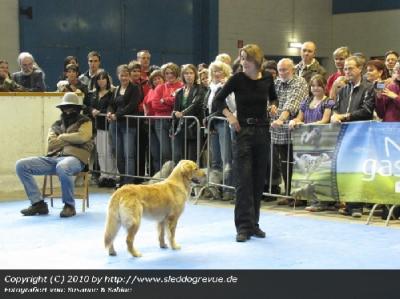 Pantomime Peter und der Wolf