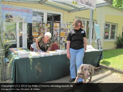 Auszeit mit Hund und Retriever Netzwerk