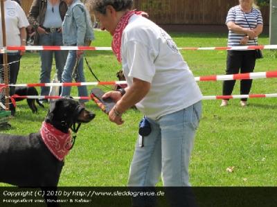 Hundefreunde Rheinbach