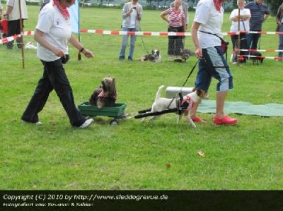 Hundefreunde Rheinbach