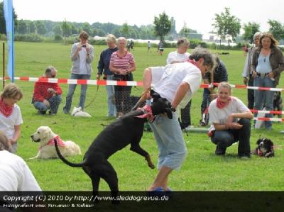 Hundefreunde Rheinbach