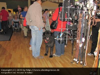 Impressionen
