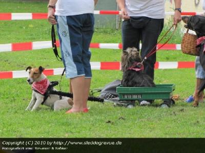 Trickdog