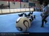 Hundefu�ball 2