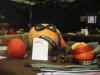 DOGZZ ma�geschneiderte Outfits f�r den Hund