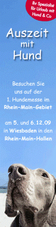 Link zu Auszeitmithund