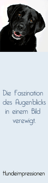 Link zu hundeimpressionen.de